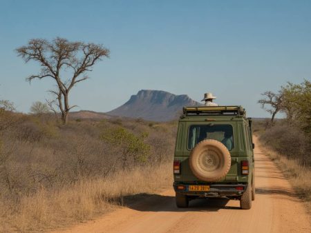 Autotour en Afrique du Sud : de la Route des Jardins au parc Kruger, entre océan et safaris